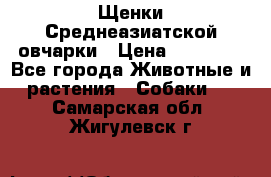 Щенки Среднеазиатской овчарки › Цена ­ 30 000 - Все города Животные и растения » Собаки   . Самарская обл.,Жигулевск г.